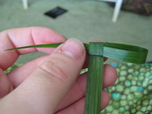cross 4