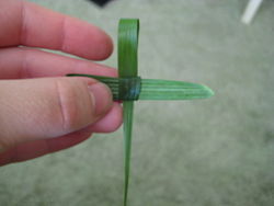 cross 5
